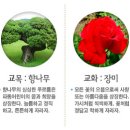 파동초등학교 이미지