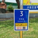 사물