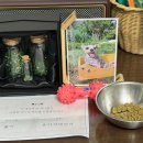 루세떼