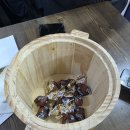 둥이식당 | [대구 서구 내당동] 두류역 맛집 삼포회식당 자연산회 가성비 끝장판 둥이 보다 맛있는 횟집