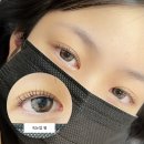 루시다X더나인