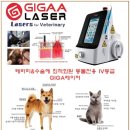 광주동물병원 이미지