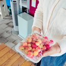 GS25 달성비슬로점 | 대구 체리따기 체험 추천 꿈앤들농장 4살 아이와 다녀온 솔직후기