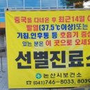 논산사랑요양병원 논산포커스