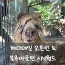 산들여행사 | 해리가이드 시드니 블루마운틴 투어 내돈내산 찐 후기｜패더데일 오픈런 + 시닉월드 3종