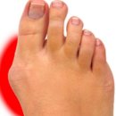 알즈너 점프 대리점 이미지