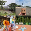 강화도 여행 코스 대룡시장 전등사 석모도수목원 동막해변 w 로망스투어