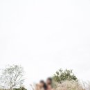 언니네해물손칼국수 이미지