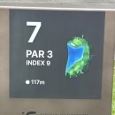 조경치과의원 | 엘리시안 강촌CC 벨리코스, 레이크코스 코스리뷰