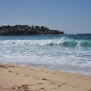 오페라하우스아파트 앞 교통섬 | 호주 동부 시드니 여행 후기 (본다이비치, 블루마운틴, 오페라하우스, 하버브릿지, 시드니 시내)