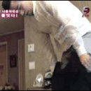 진짜바지