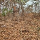 월송민박 이미지