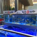 청춘회마차