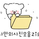 비에이치씨영월점