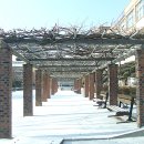 천안고등학교 이미지