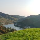 수도 한우목장 이미지