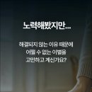 동물보육원 고양지부 이미지