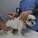 재진축산 이미지