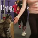 파이브 PC방 이미지