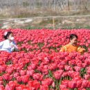 낙동강관리본부 화명생태공원 12 이미지