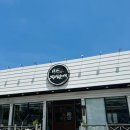 마산의신여자중학교 | 교방동맛집 마산순대전골 추천 “정성순대 마산점” 단골집 재방문 후기