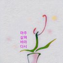 봄봄하다