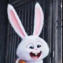 하우스 TALK 이미지