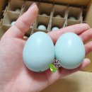 순천청계농장 이미지