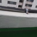 신중앙카서비스 이미지