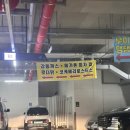 배곧 분위기 좋은 피자펍 &#39;메가톤피자 배곧 정왕‘후기 (애견동반,주차,야장O)
