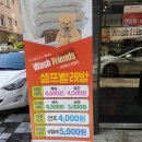 워시엔조이셀프빨래방아산용화점 | 아산24시빨래방 워시프렌즈아산용화점방문기