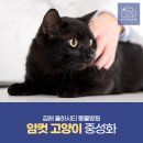 율하시티동물병원 이미지