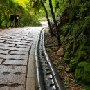 천년농장 이미지