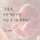251211. 묵상글 ( 대림 제2주간 목요일. - 나도 하늘나라 폭행자?. 등 ) 이미지