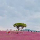 물결공원 화장실 이미지