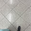 같은 추억을 두고 온 것만 같은 그 부산에 가면