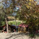 은사시 캠핑장 이미지