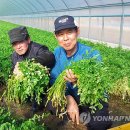 태화청정