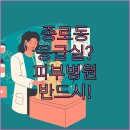 서울영상피앤디 | 종로구 동물병원 추천 응급실 피부과 특화 병원