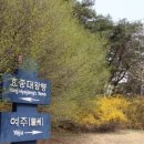 소나무동산 이미지