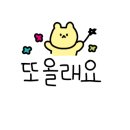 벵디626 이미지