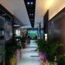 씨엘스크린골프 이미지