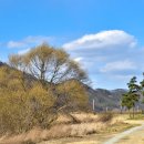 웅주농장 | 그래도 봄이다