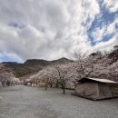 (주)고래사 자갈치점 | 벚꽃캠핑장 밀양패밀리캠핑장