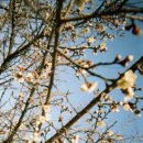 별빛든쉼 이미지