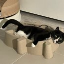 국민매운찜갈비 수성점 이미지