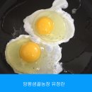 양평샘꼴농장 | 양평샘꼴농장유정란구매했어요~