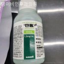 명이비인후과의원 | 서울보청기 명이비인후과의원 성능좋은 보청기