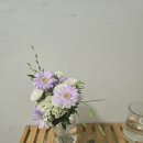 도형축사 | 대구 부케 말리기 유얼리 후기