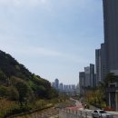 산책가는길 이미지